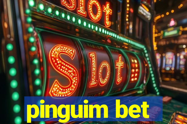 pinguim bet